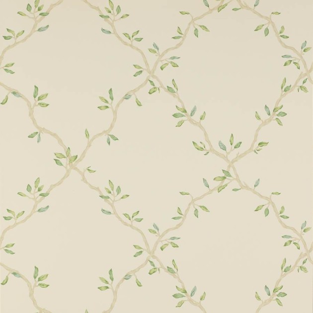 Colefax and Flower 07706/02 Small Design W/Papers II Leaf Trellis Pale Green - tapeta w roślinną kratkę