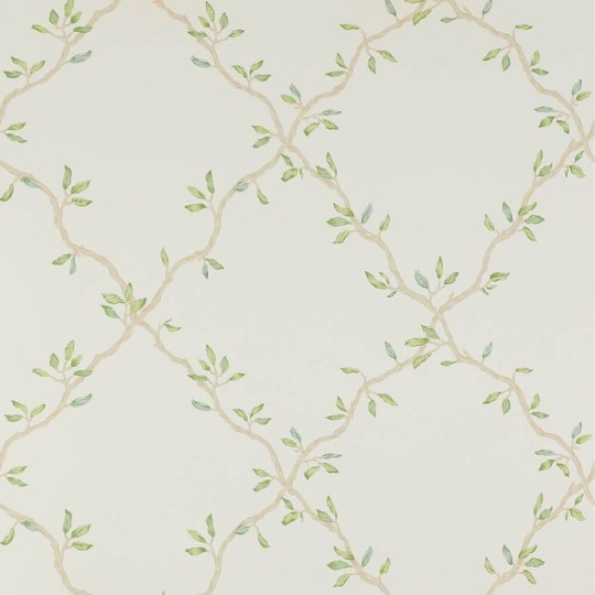 Colefax and Flower 07706/03 Small Design W/Papers II Leaf Trellis Ivory/Green - tapeta w roślinną kratkę
