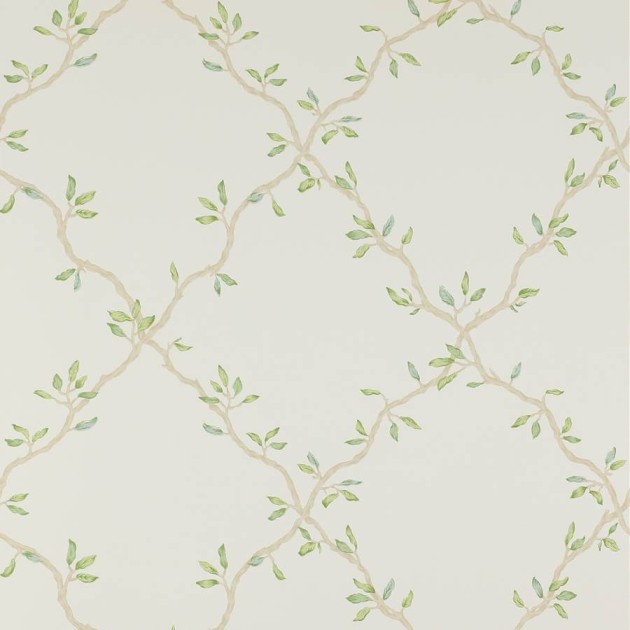 Colefax and Flower 07706/03 Small Design W/Papers II Leaf Trellis Ivory/Green - tapeta w roślinną kratkę