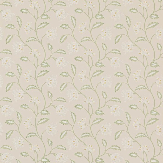 Colefax and Flower W7012-04 Small Design W/Papers II Oterlie Leaf Green - tapeta w liście