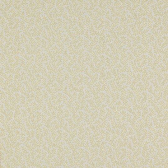 Colefax and Flower 07985/01 Small Design W/Papers II Rushmere Yellow - tapeta w minimalistyczne liście
