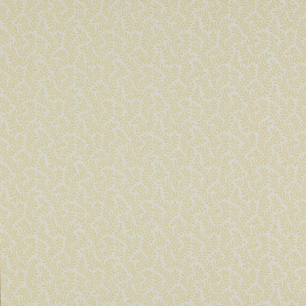Colefax and Flower 07985/01 Small Design W/Papers II Rushmere Yellow - tapeta w minimalistyczne liście