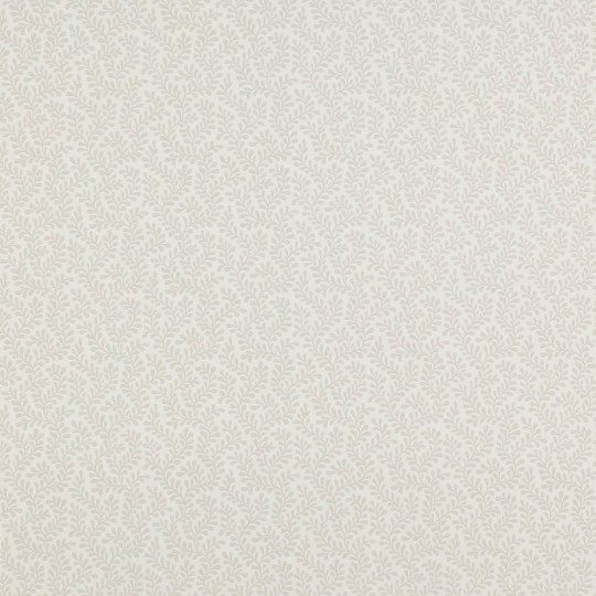 Colefax and Flower 07985/03 Small Design W/Papers II Rushmere Grey - tapeta w minimalistyczne liście