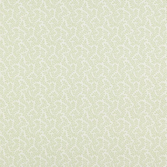 Colefax and Flower 07985/04 Small Design W/Papers II Rushmere Leaf - tapeta w minimalistyczne liście