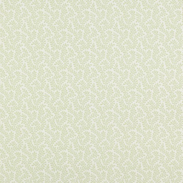 Colefax and Flower 07985/04 Small Design W/Papers II Rushmere Leaf - tapeta w minimalistyczne liście
