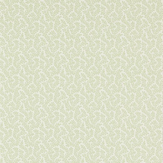 Colefax and Flower 07985/07 Small Design W/Papers II Rushmere Willow Green - tapeta w minimalistyczne liście