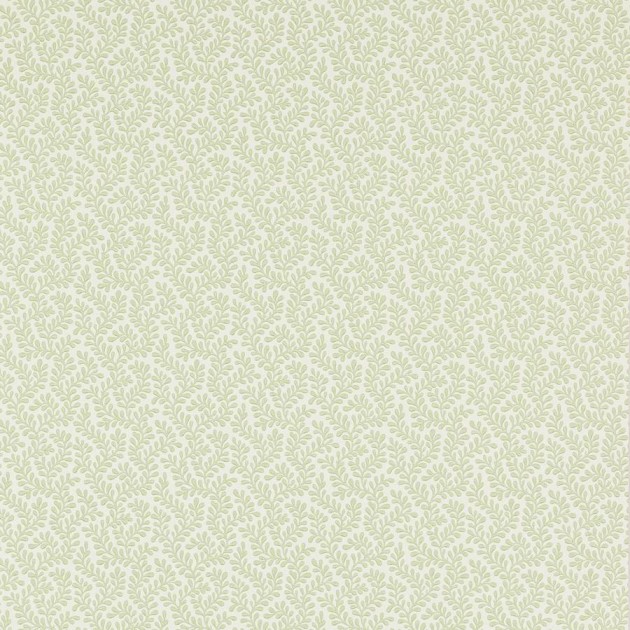 Colefax and Flower 07985/07 Small Design W/Papers II Rushmere Willow Green - tapeta w minimalistyczne liście