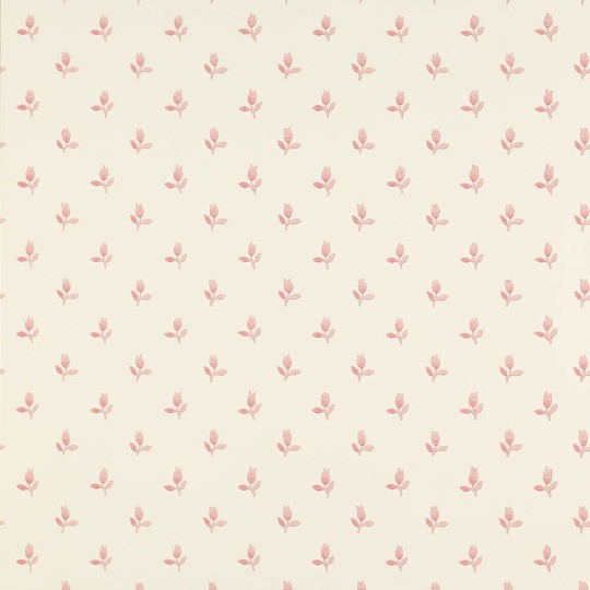 Colefax and Flower 07986/02 Small Design W/Papers II Sudbury Park Pink - tapeta w minimalistyczne tulipany