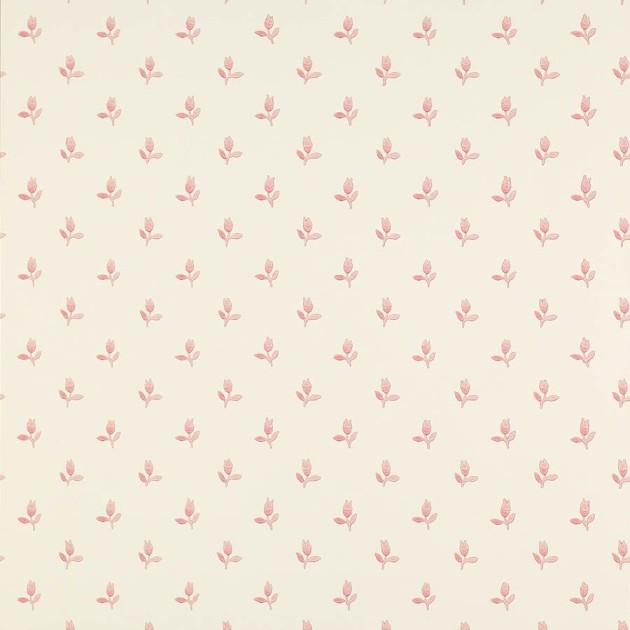 Colefax and Flower 07986/02 Small Design W/Papers II Sudbury Park Pink - tapeta w minimalistyczne tulipany