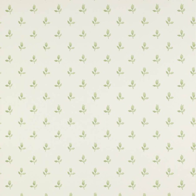 Colefax and Flower 07986/04 Small Design W/Papers II Sudbury Park Green - tapeta w minimalistyczne tulipany