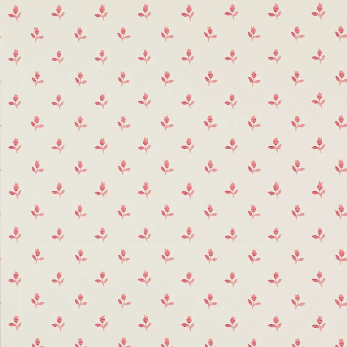 ad89ccbd205dc50682c8a5e4509aefd2