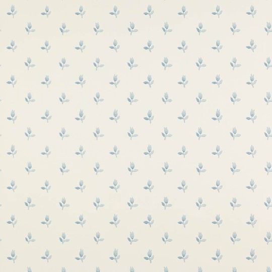 Colefax and Flower 07986/03 Small Design W/Papers II Sudbury Park Blue - tapeta w minimalistyczne tulipany