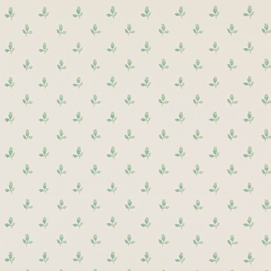 Colefax and Flower 07986/06 Small Design W/Papers II Sudbury Park Forest Green - tapeta w minimalistyczne tulipany