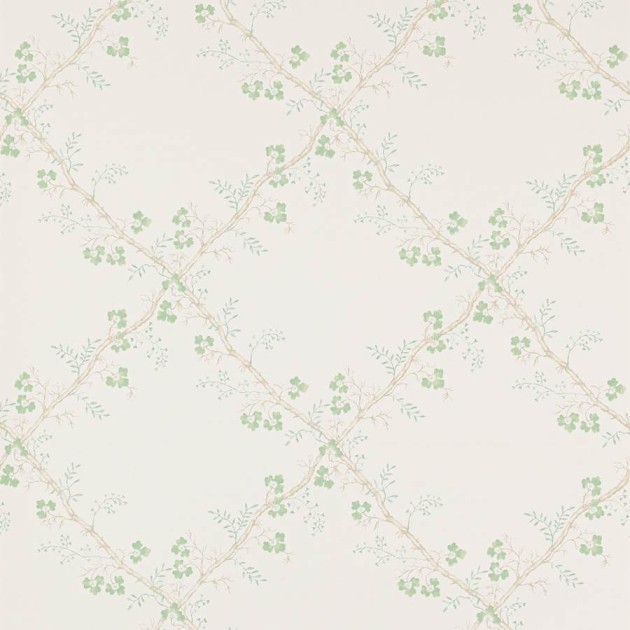 Colefax and Flower W7008-01 Small Design W/Papers II Trefoil Trellis Celadon - tapeta w roślinną kratkę