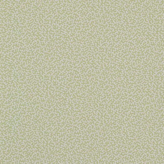 Colefax and Flower W7014-03 Small Design W/Papers II Wendle Leaf - tapeta w koralowy wzór