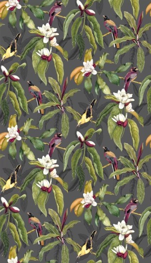 Osborne & Little W7612-01 Empyrea Michelia - tapeta w kwiaty magnoli