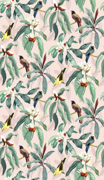 Osborne & Little W7612-02 Empyrea Michelia - tapeta w kwiaty magnoli