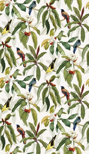 Osborne & Little W7612-03 Empyrea Michelia - tapeta w kwiaty magnoli