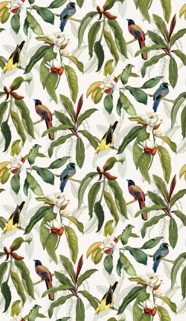 Osborne & Little W7612-03 Empyrea Michelia - tapeta w kwiaty magnoli