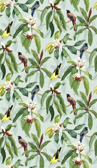 Osborne & Little W7612-04 Empyrea Michelia - tapeta w kwiaty magnoli