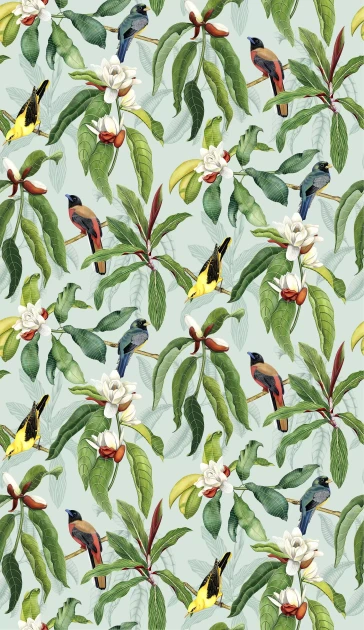 Osborne & Little W7612-04 Empyrea Michelia - tapeta w kwiaty magnoli