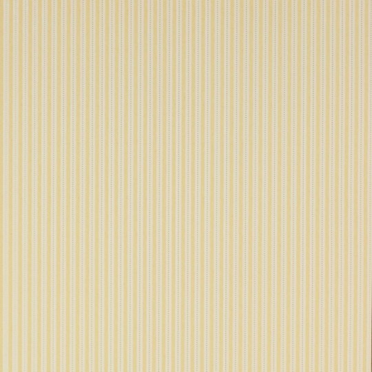 Colefax and Fowler 07146/04 Mallory Stripes Ditton Stripe Yellow - tapeta w cienkie paski