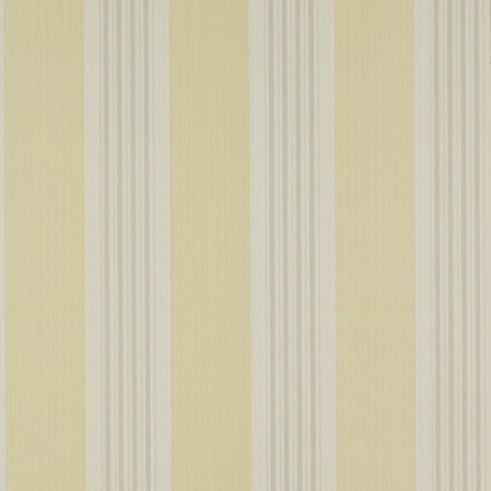 Colefax and Fowler 07991/03 Mallory Stripes Tealby Stripe Yellow/Grey - tapeta w paski