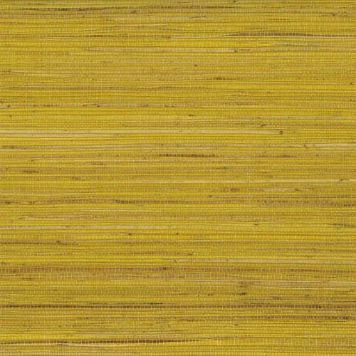 3141dae29056d3429f66d42e012d936d