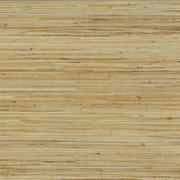 d866977b8260fd57f27e8067460ad218