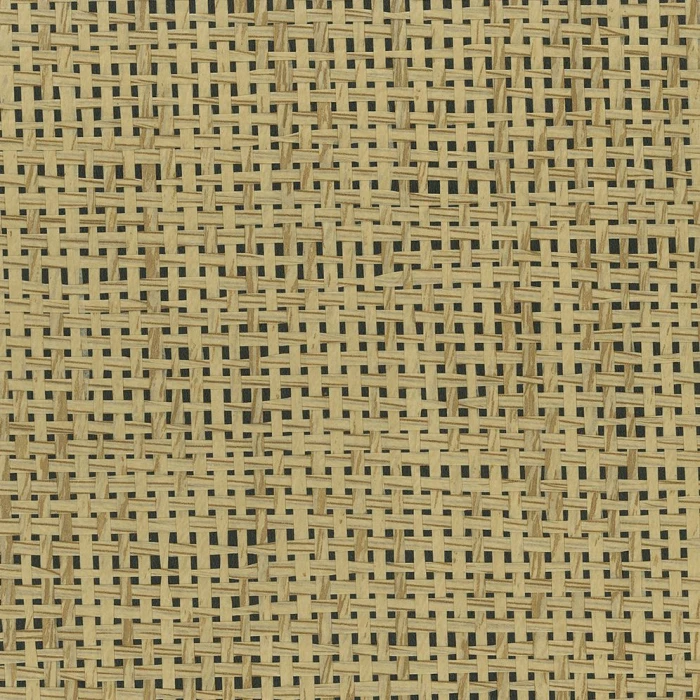 54c0347c45ab2ddd7fedfdff0f509c38