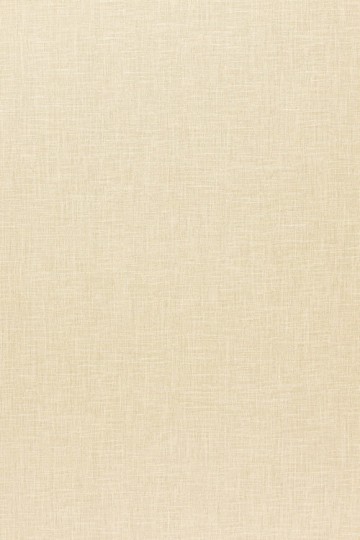 Arte 67633 Sablon - tapeta obiektowa o wyglądzie płótna