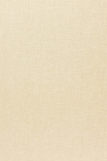 Arte 67633 Sablon - tapeta obiektowa o wyglądzie płótna