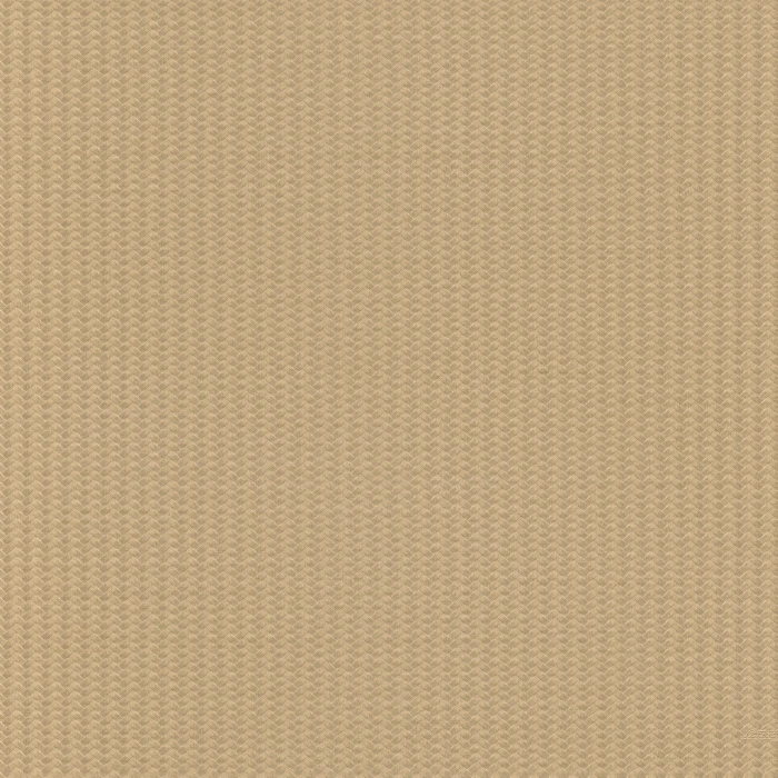 ca3a6313f4264f346ed7014abef66b56