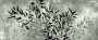 7a2a68a6c2015de16896d1e4c7b4c7a8