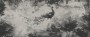 5e8502438ef60ad21c6e39ebfa36236b