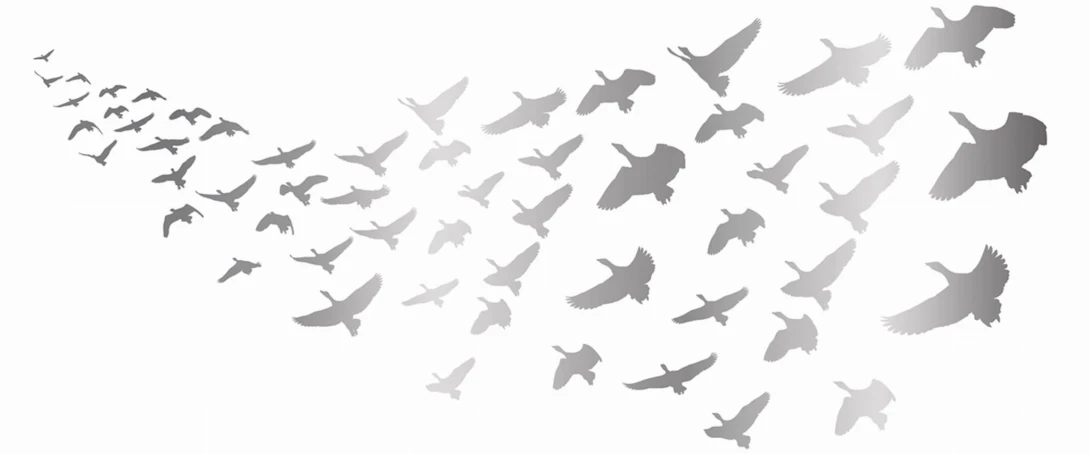 Yo2 GP1.08 IS Glossy Pigeons - mural ze złotymi ptakami
