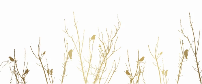 3c0c992538f6b05de62f4a278ed1c40c