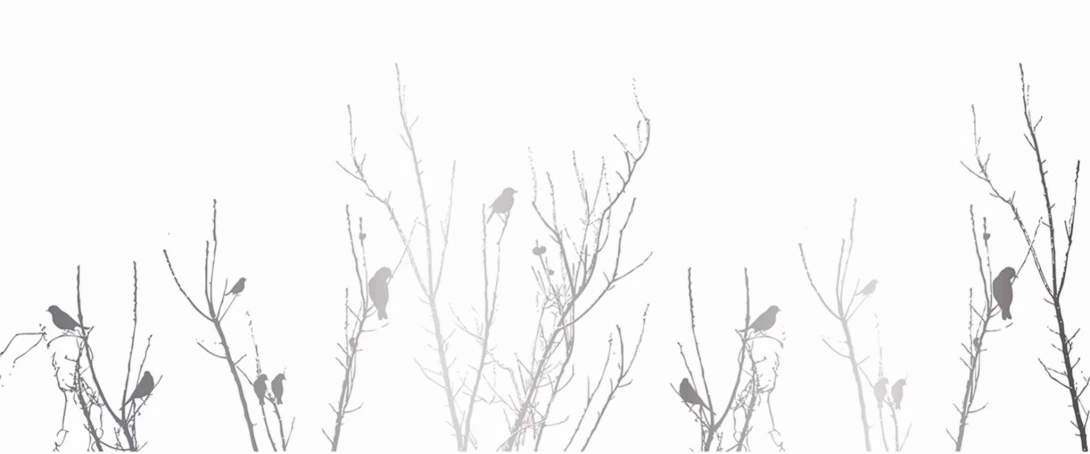 Yo2 GP1.09 IS Glossy Pigeons - mural ze złotymi ptakami i drzewami