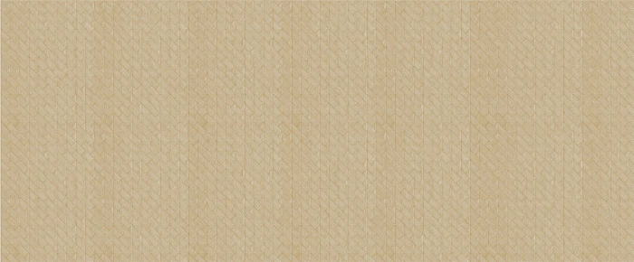 27c31c5009f60d63ab43108903935cea