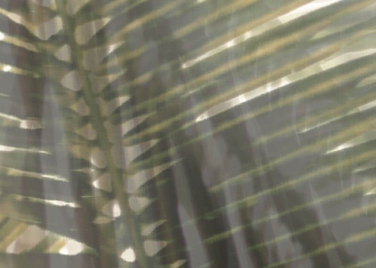 J&V 5995 161 Arashi Ikebana - mural w liście