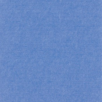 2ee48258dfc6ea8f738c283d5d1b656f