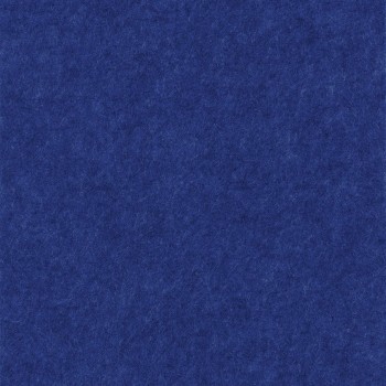 e495b6373f03e190a77f1c28714af1dc
