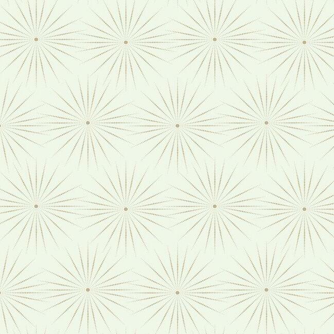 2fa8472e83fa471a7f4368bf9cb45f1f