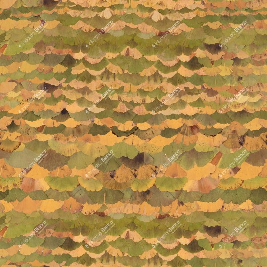 Inkiostro Bianco INKRBSR2402 Flora Art Ginko Biloba - mural w liście miłorzębu