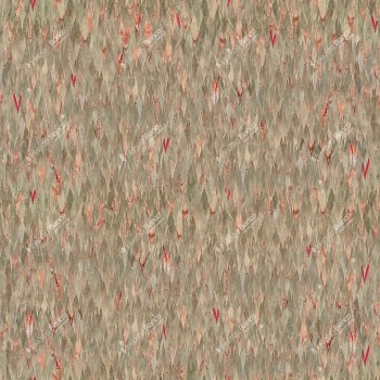 a3a7080f12b097dae025449a0ca00a52