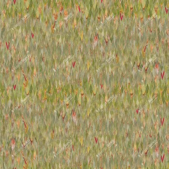 d72080d617d024cf143538c070060391