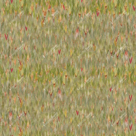 Inkiostro Bianco INKATOT2401 Flora Art Bamboo - mural w liście