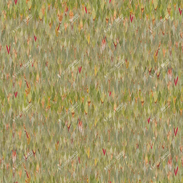 d72080d617d024cf143538c070060391