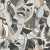 2825d56017e76ef76cb7554b50c8ccc9