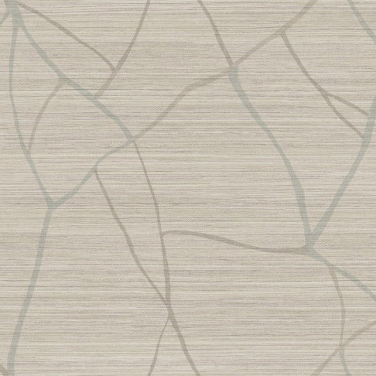 York AG2082W1 Artistic Abstracts Nikki Chu Raska Taupe - tapeta w abstrakcyjne linie